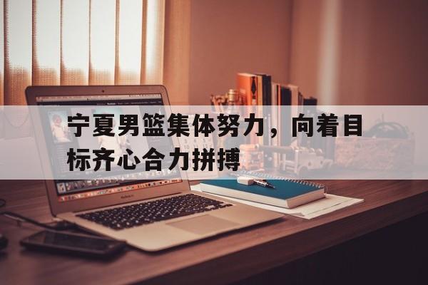 包含宁夏男篮集体努力，向着目标齐心合力拼搏的词条
