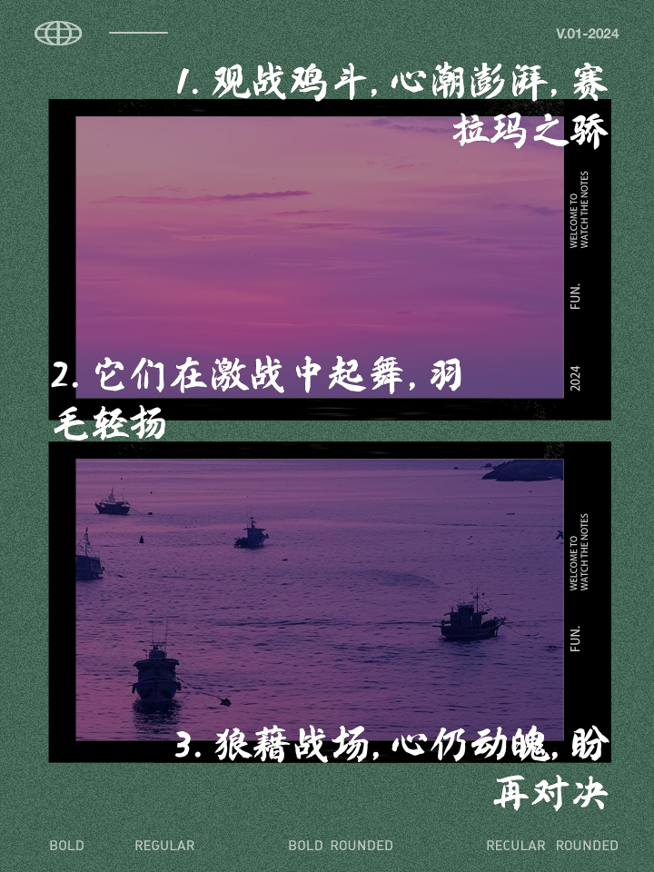包含两雄争霸场上对抗激烈，胜负不分分秒必争无冕之王闪耀舞台，实力见证传奇辉煌的词条